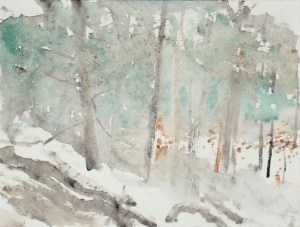 January 9 2015 315pm