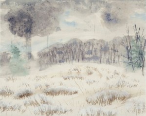 November 21 2014 1155am