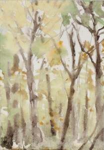 October 19 2014 430pm