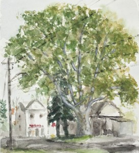 October 23 2014 1100 am