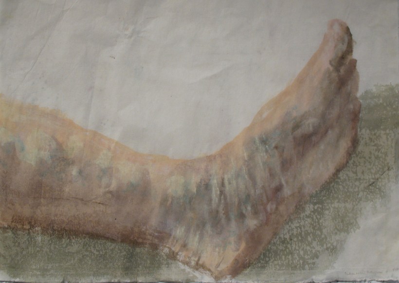 Left leg September 3 2016