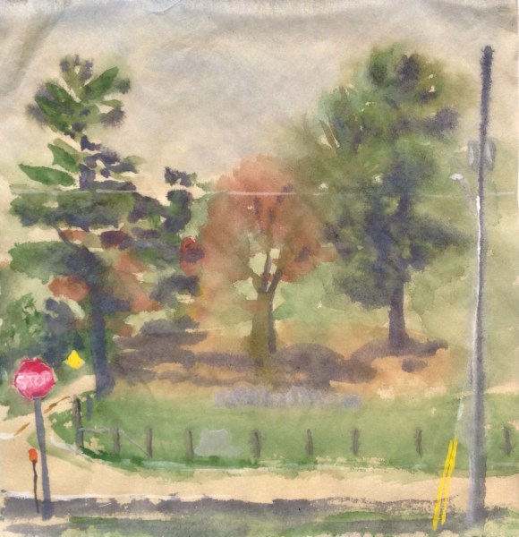 Pines and Sassafrass at McDowell and James