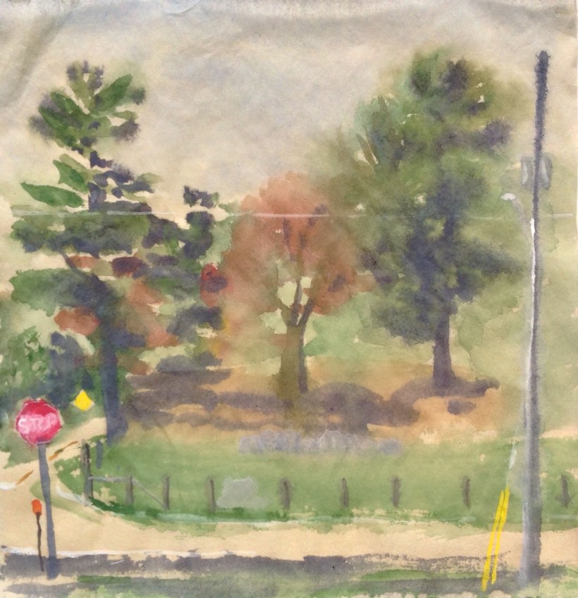 Pines and Sassafrass at McDowell and James